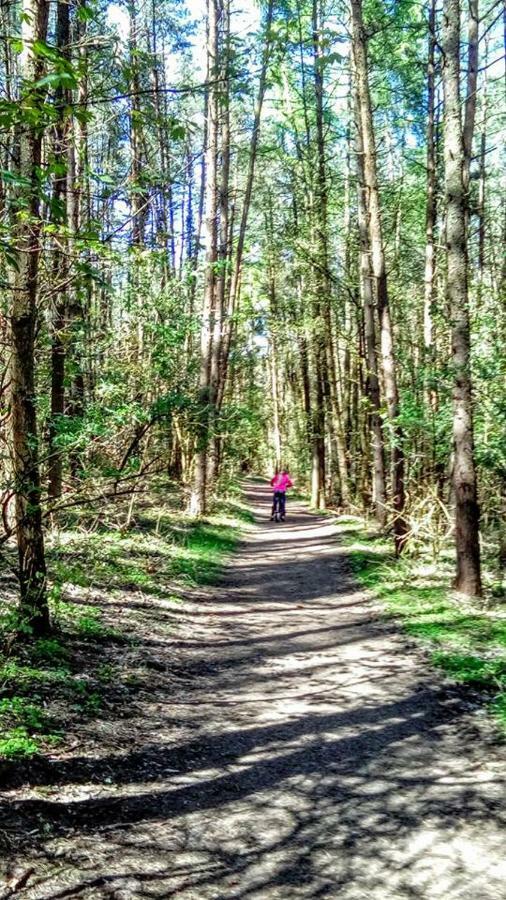 Domki Letniskowe Nad Morzem Miedzyzdroje Bagian luar foto